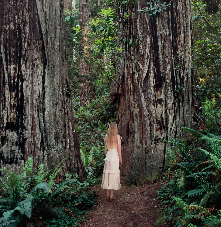 Girl in white dress standing (facing her back) in a forest