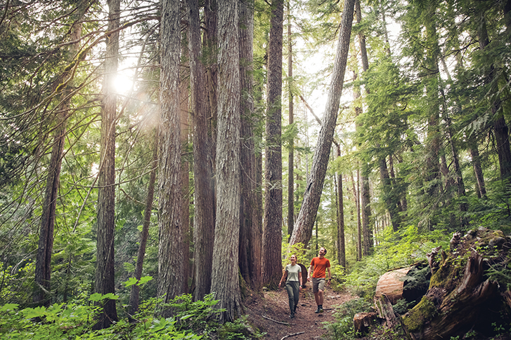 Whistler’s Blackcomb Burn