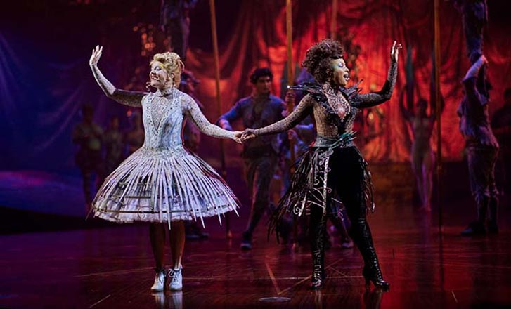 Cirque du Soleil Alegria