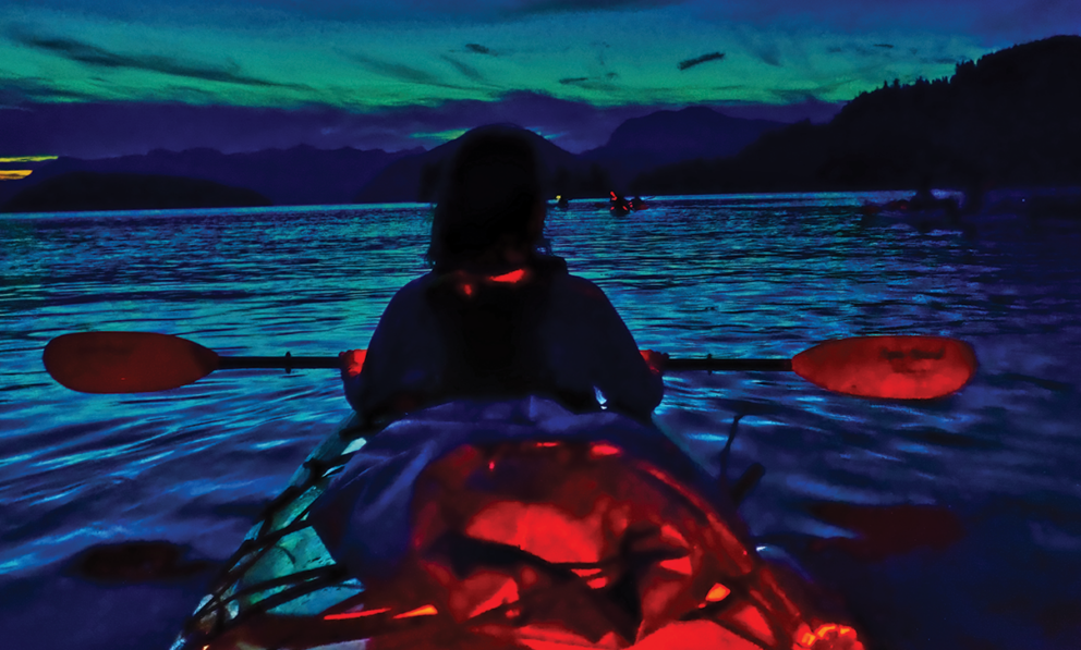Stylized woman on a kayak from behind, on the water at night.