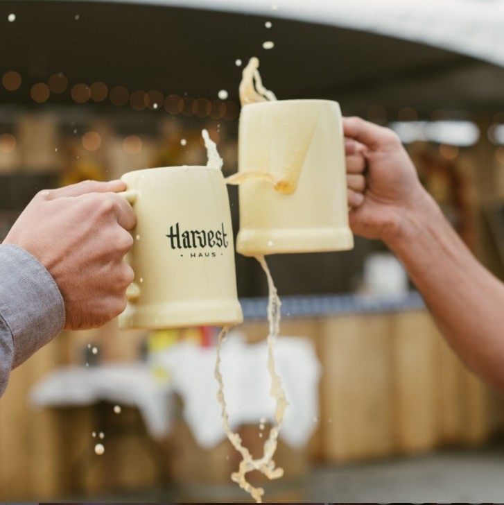 two steins cheers-ing