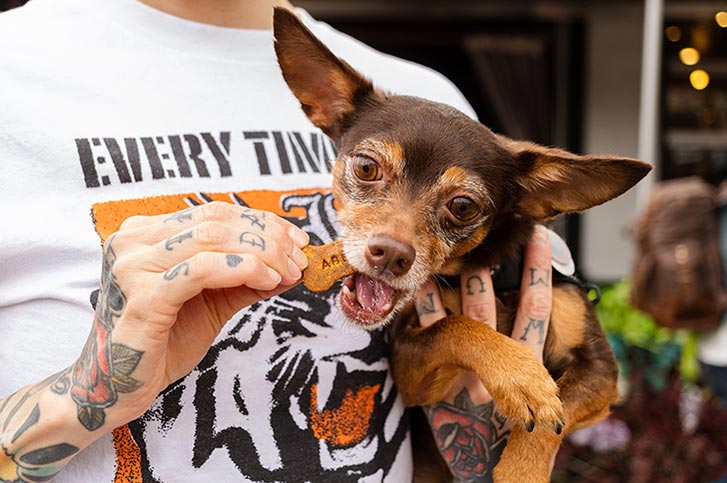 Uncle Abe's Dog Cocktails 2