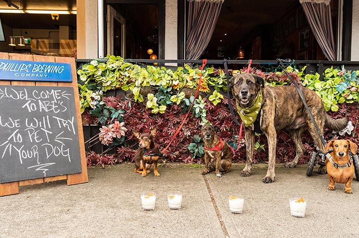 Uncle Abe's Dog Cocktails 3