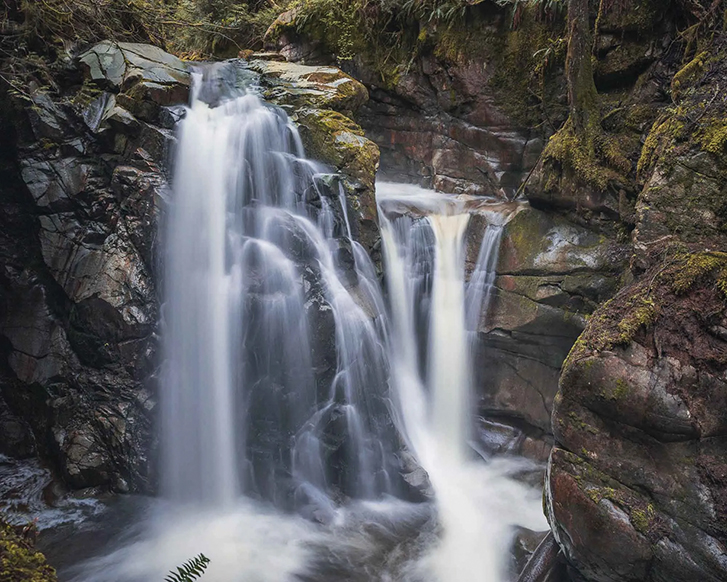 Cypress Falls