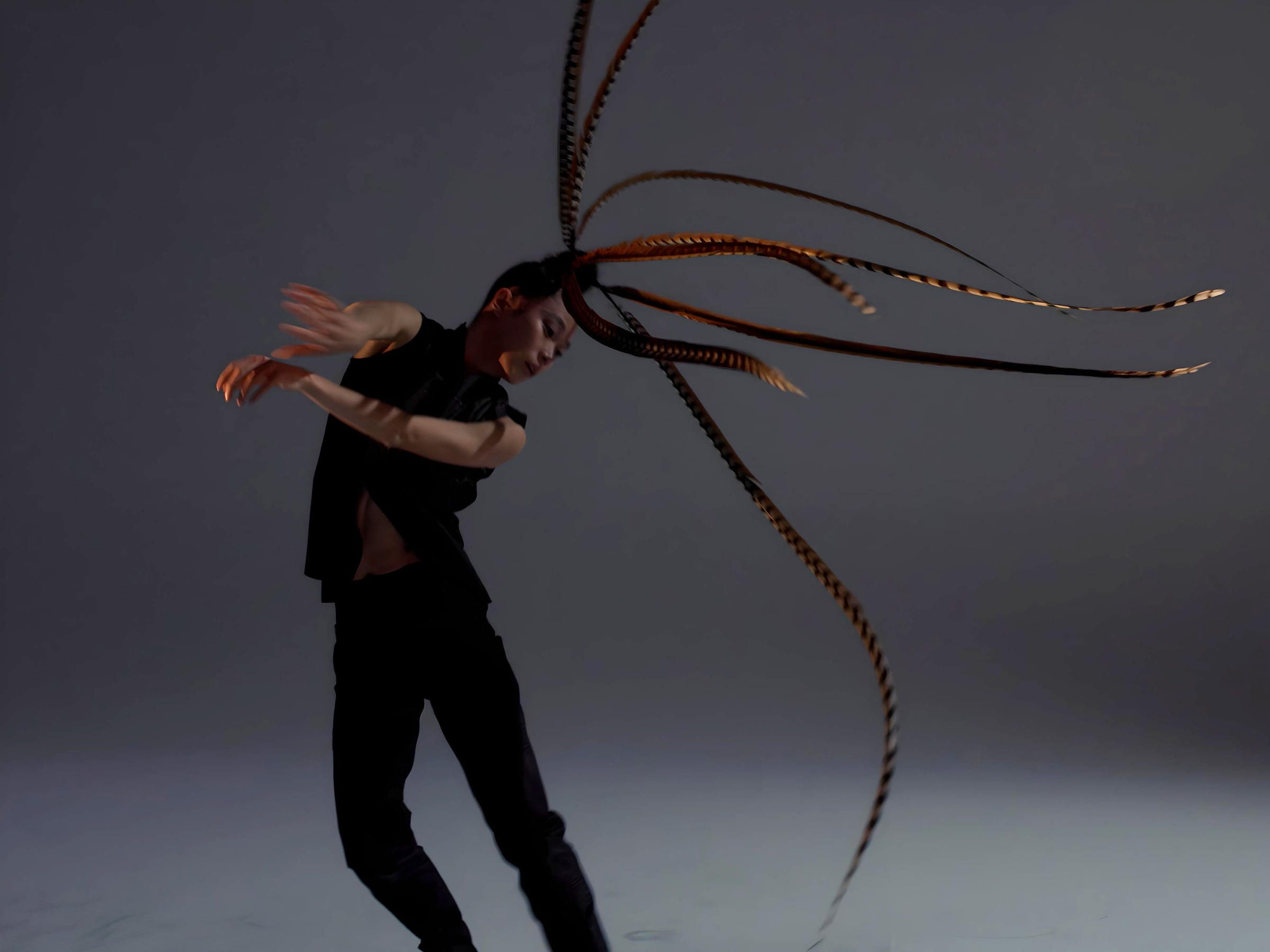 DanceHouse presents Hung Dance’s Birdy, on stage November 28 & 29 at the Vancouver Playhouse.