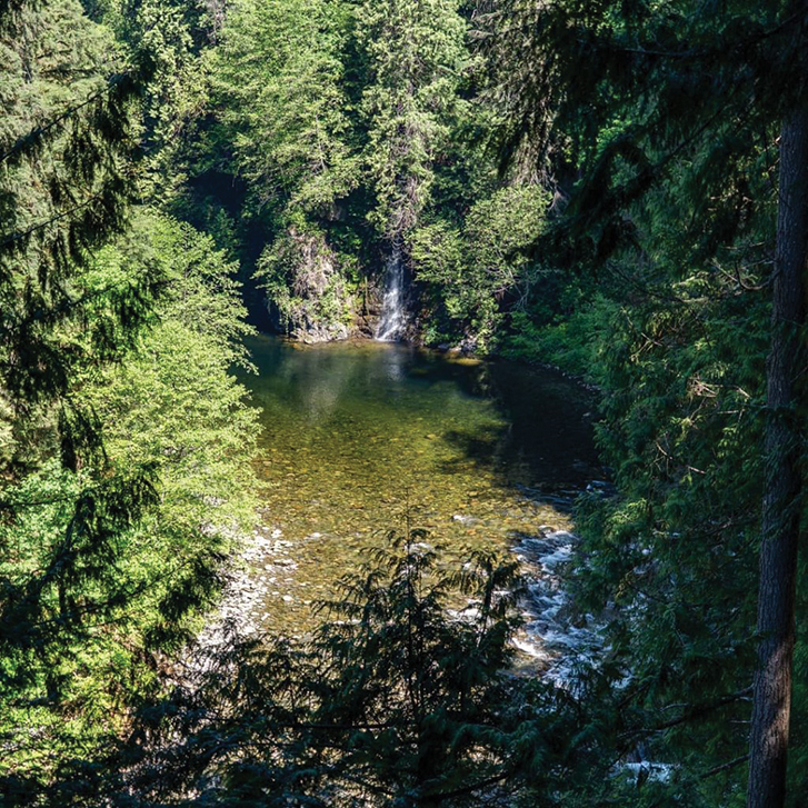 Granny’s Cove in Capilano Canyon