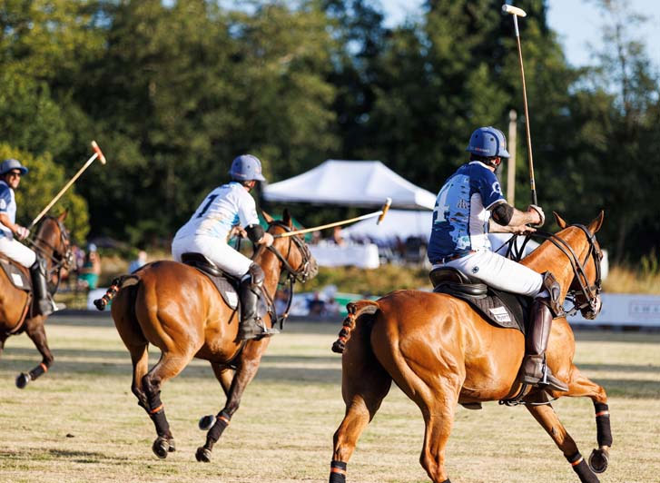polo in southlands