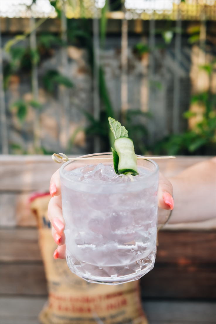 a hand holding a refreshing drink